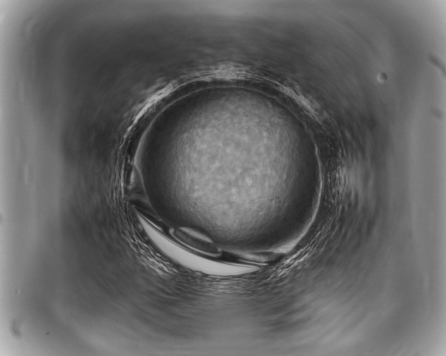 X0000098001160200803241335