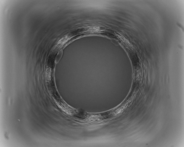 X0000098001161200803241335