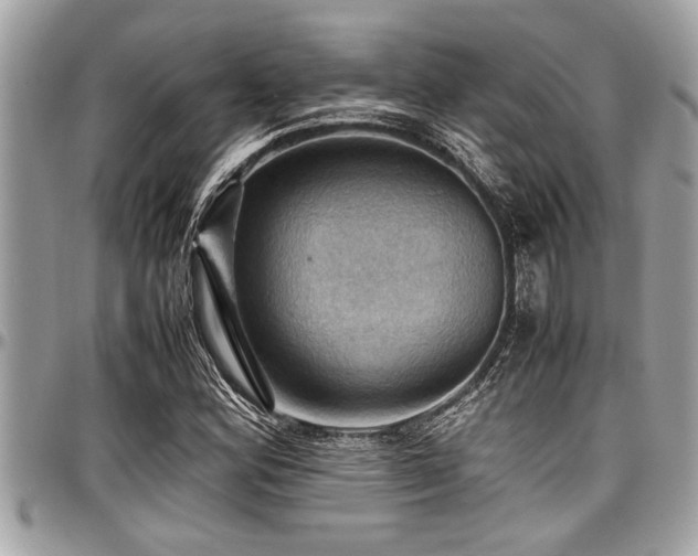 X0000098001164200803241335