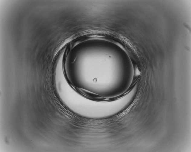 X0000098001165200803241335