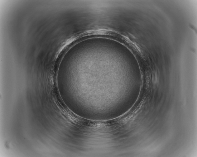 X0000098001166200803241335