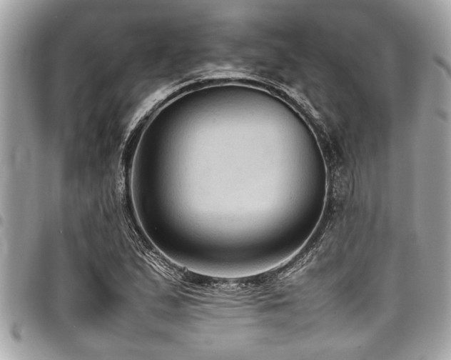 X0000098001167200803241335