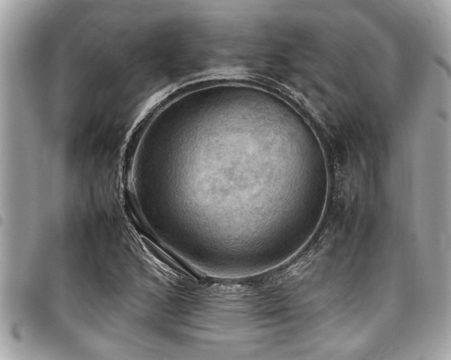 X0000098001168200803241335