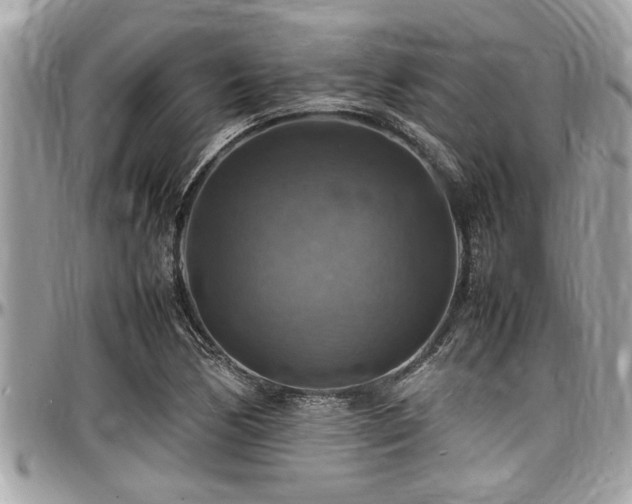 X0000098001170200803241335