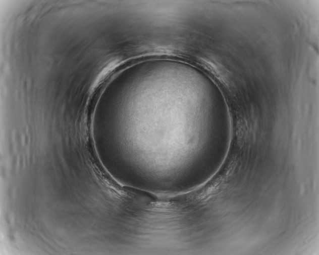 X0000098001172200803241335