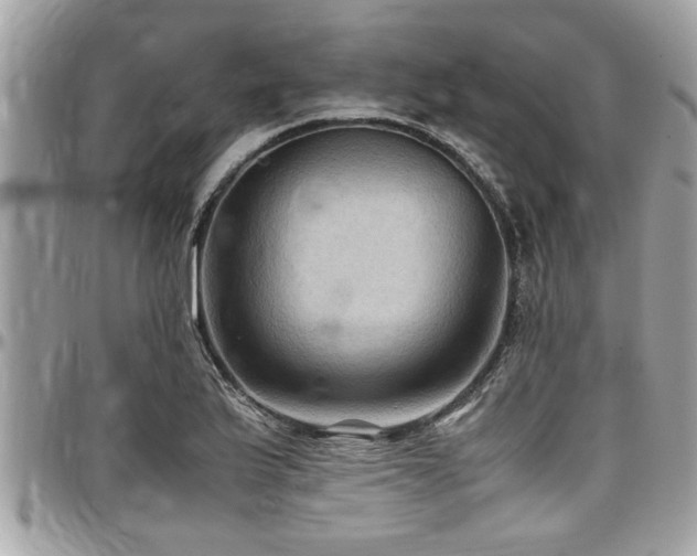 X0000098001175200803241335