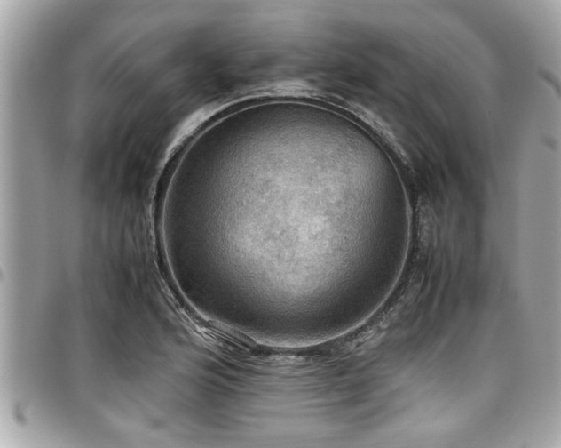 X0000098001176200803241335
