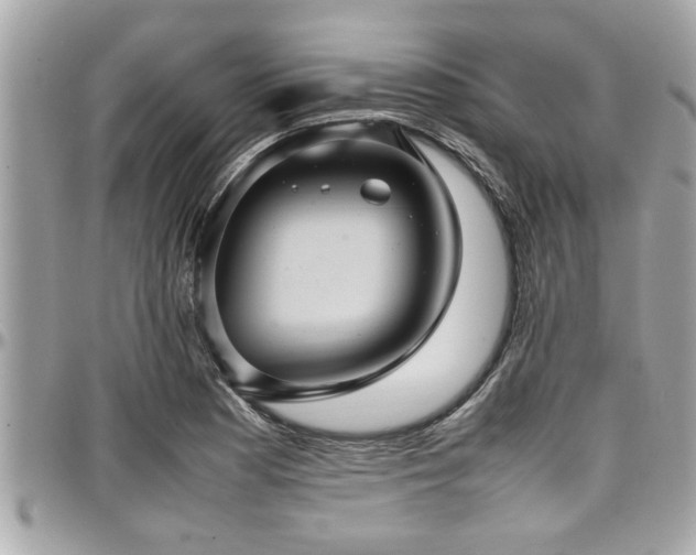 X0000098001177200803241335