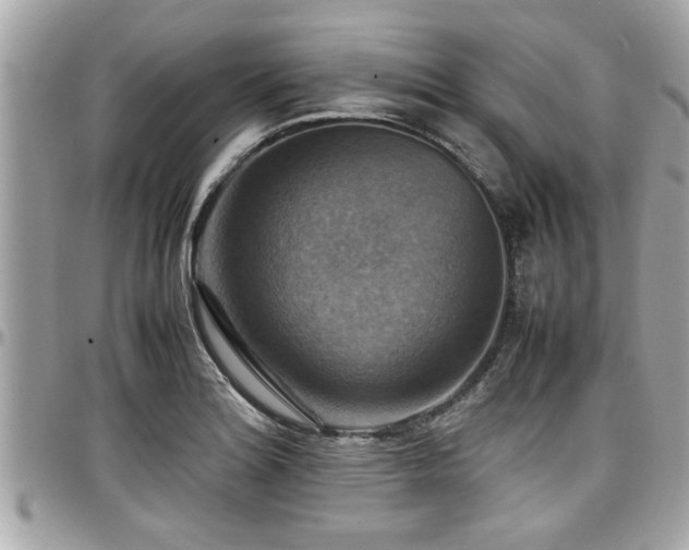 X0000098001180200803241335