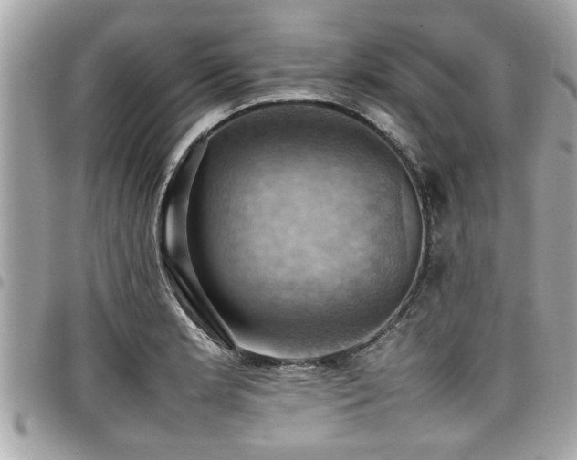 X0000098001181200803241335