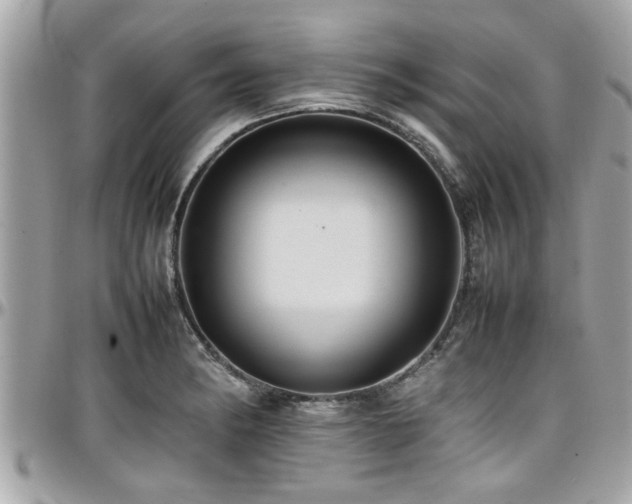 X0000098001182200803241335