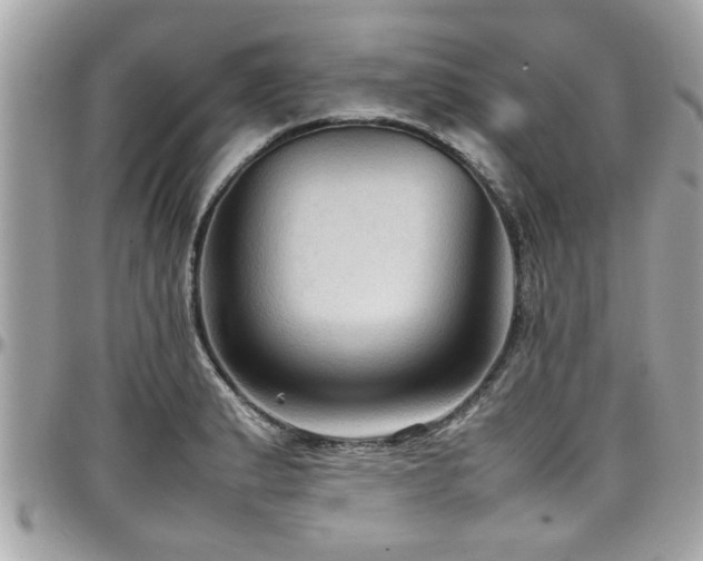 X0000098001183200803241335