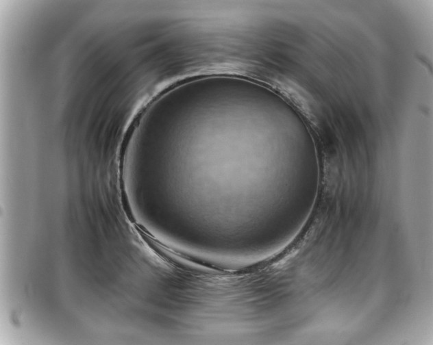 X0000098001184200803241335