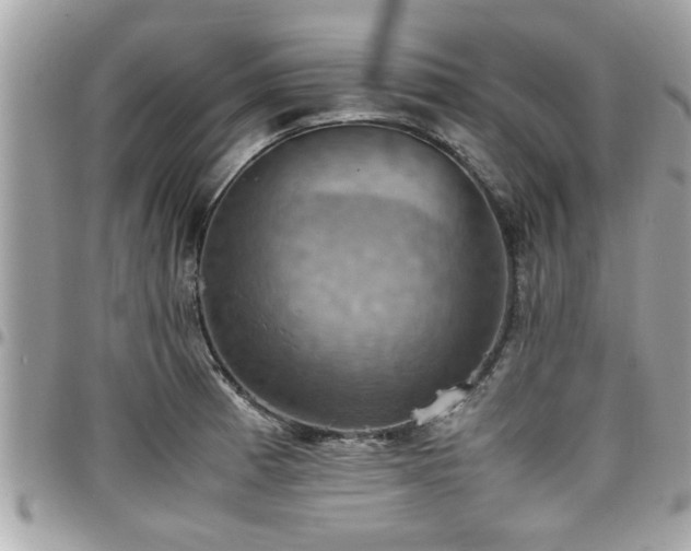 X0000098001185200803241335
