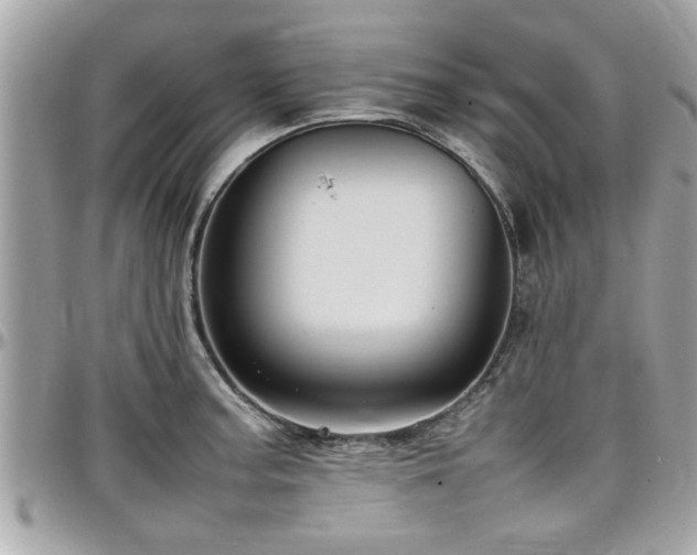 X0000098001187200803241335