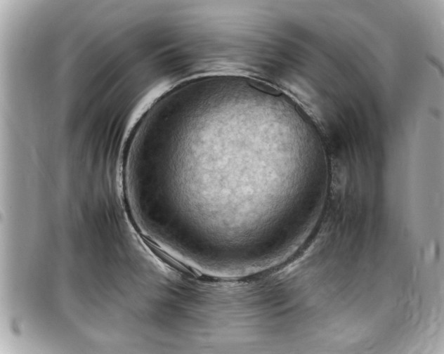 X0000098001188200803241335