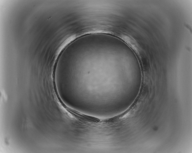 X0000098001189200803241335