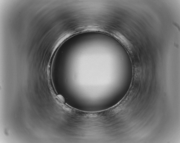 X0000098001190200803241335