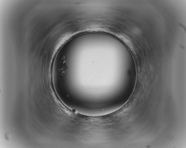 X0000098001191200803241335