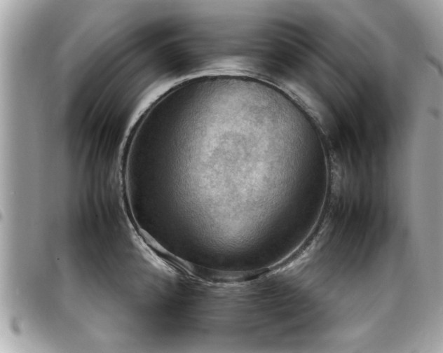 X0000098001192200803241335