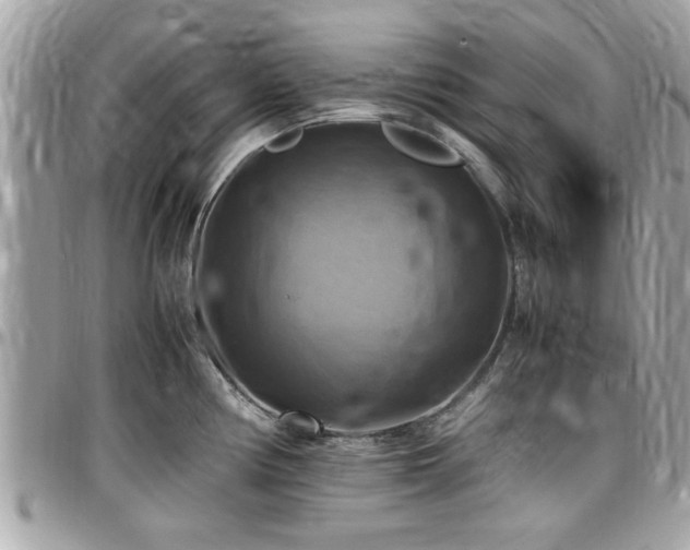 X0000098001194200803241335