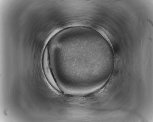 X0000098001197200803241335