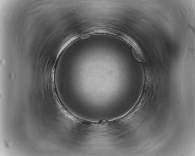 X0000098001198200803241335