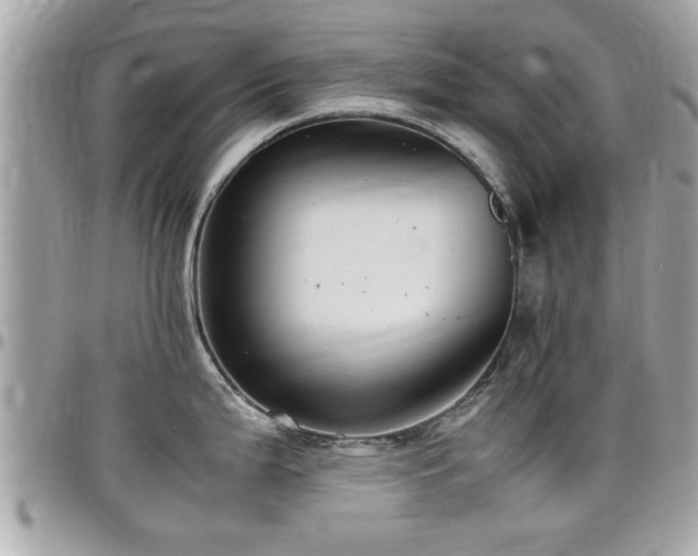 X0000098001199200803241335