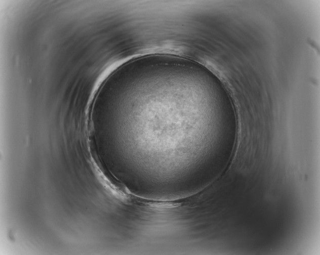 X0000098001200200803241335