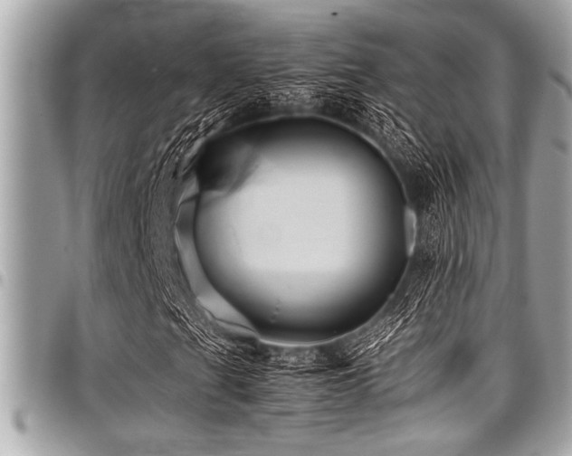 X0000098001201200803241334