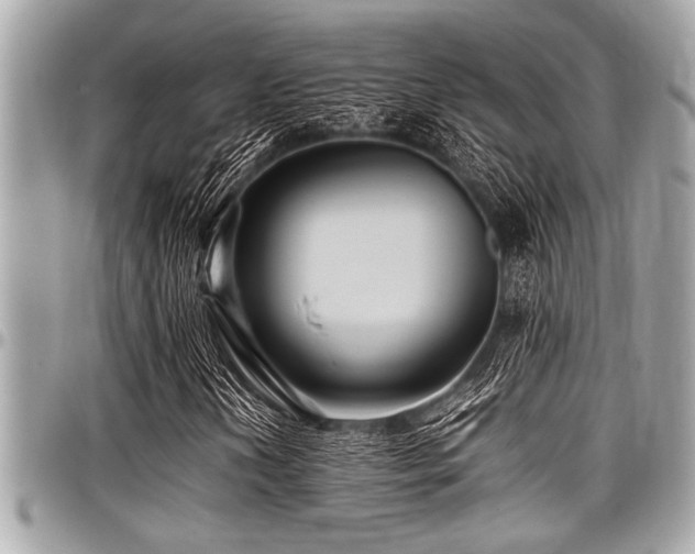 X0000098001202200803241334