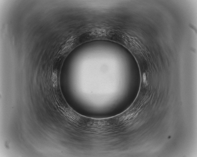 X0000098001203200803241334