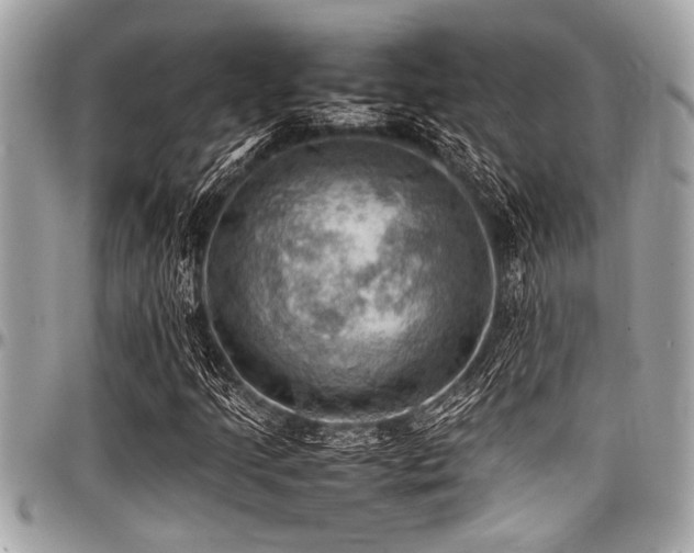 X0000098001205200803241334
