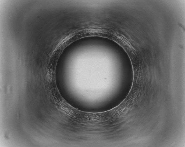 X0000098001207200803241334