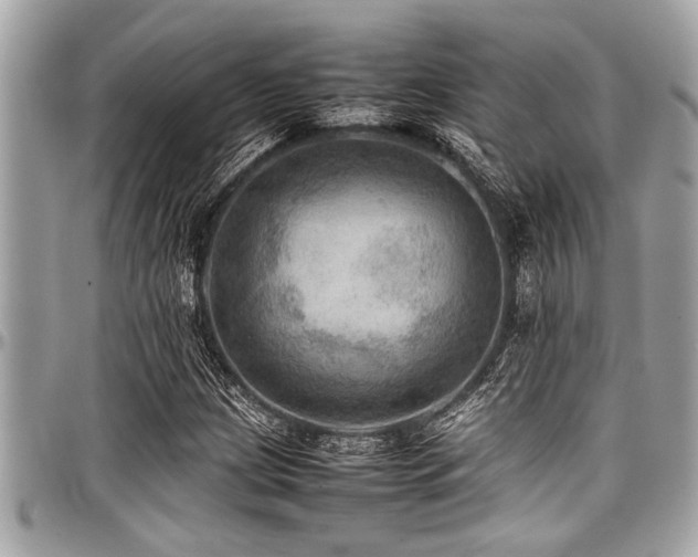 X0000098001209200803241334