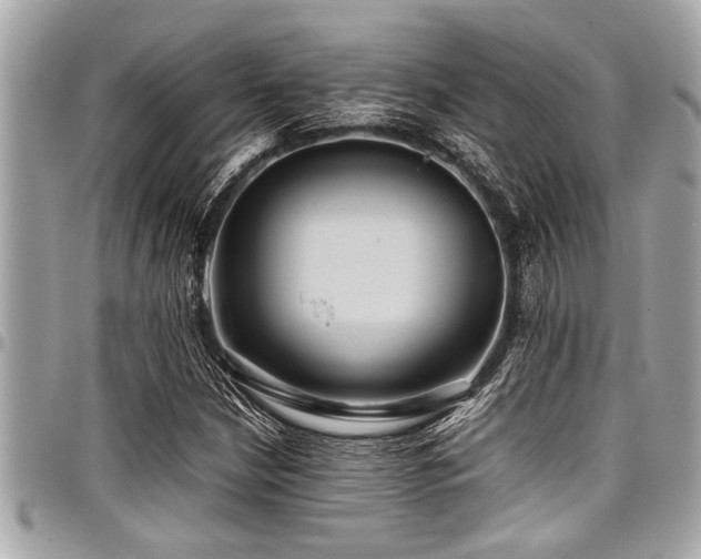 X0000098001210200803241334