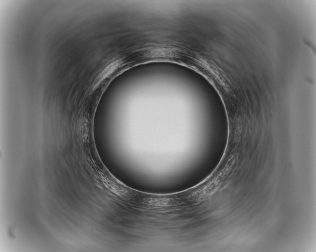 X0000098001211200803241334