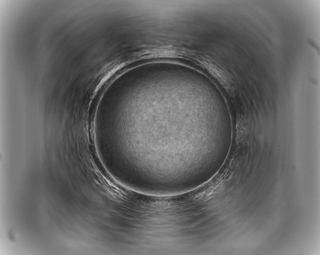 X0000098001212200803241334