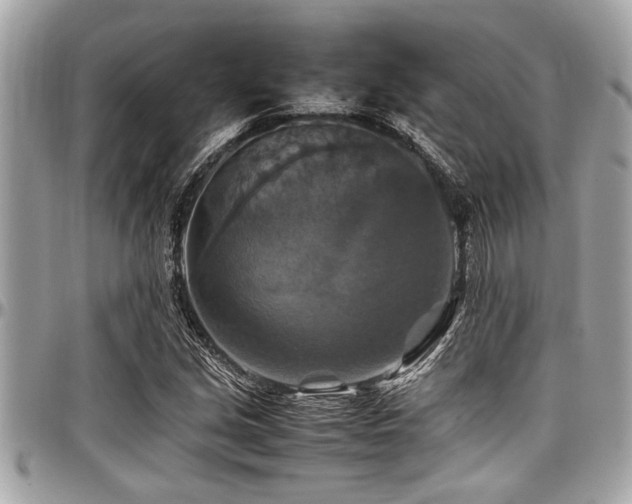 X0000098001213200803241334