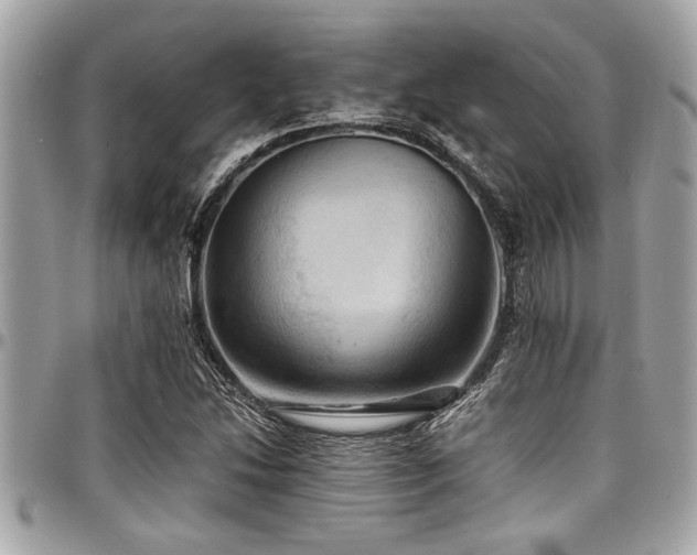 X0000098001214200803241334