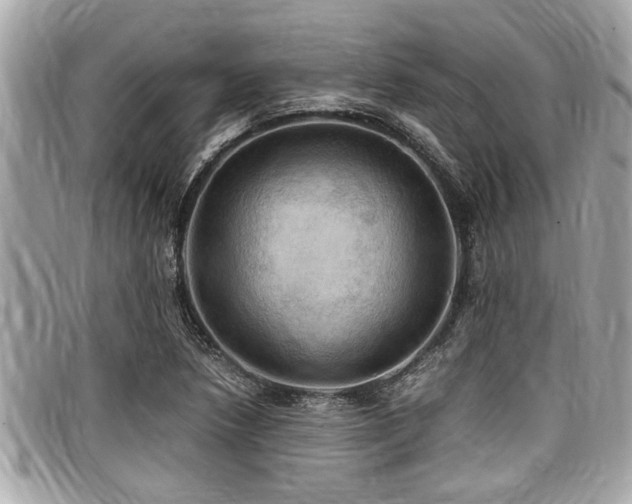 X0000098001218200803241334