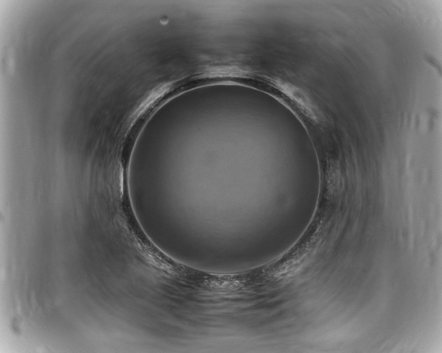 X0000098001221200803241334