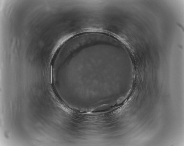 X0000098001223200803241334
