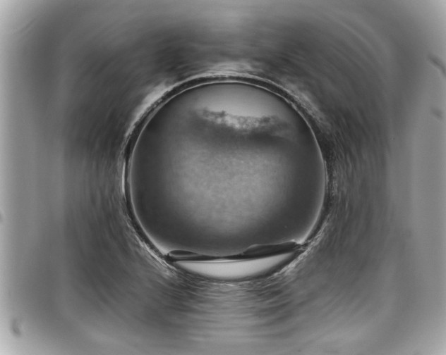 X0000098001224200803241334