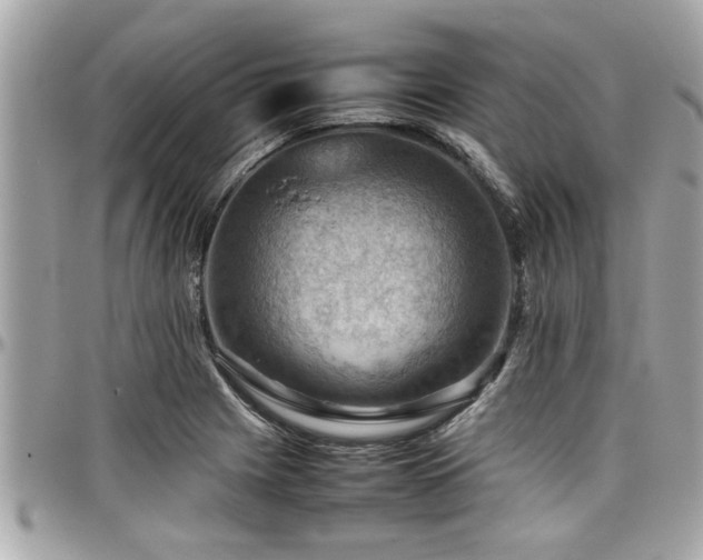 X0000098001225200803241334