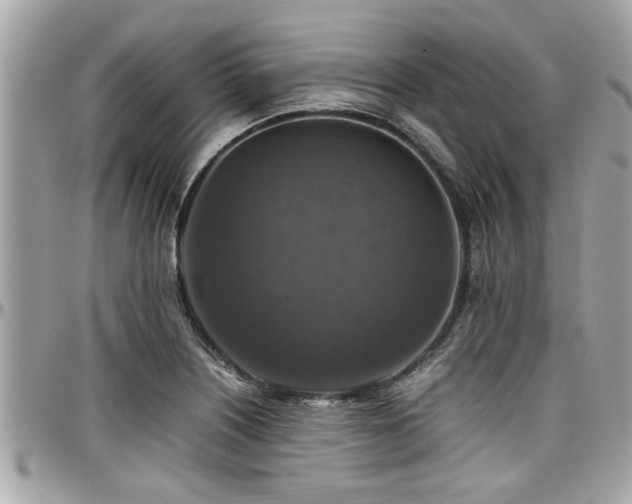 X0000098001226200803241334