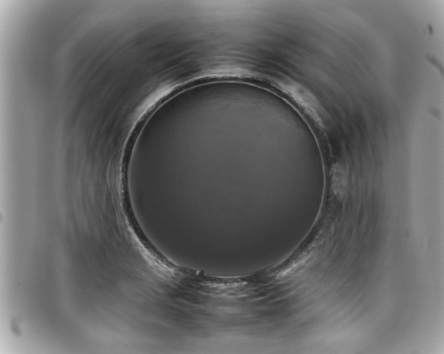 X0000098001229200803241334