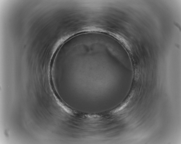 X0000098001231200803241334
