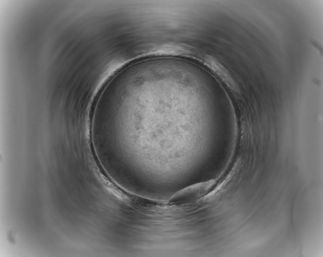 X0000098001232200803241334