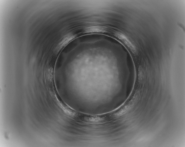 X0000098001233200803241334